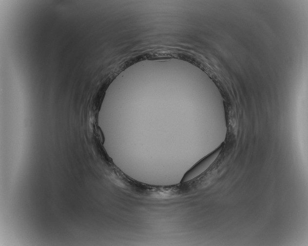 X0000115780235200911131012