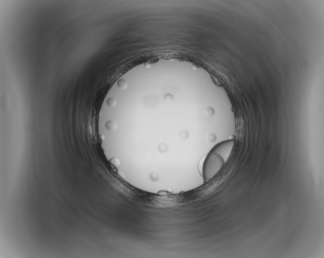 X0000115780238200911131012