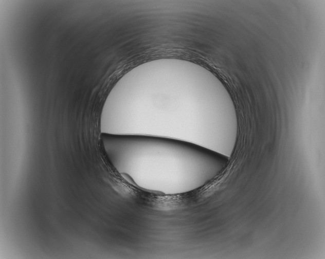 X0000115780240200911131012