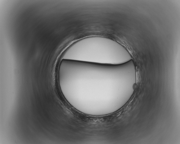 X0000115780243200911131012