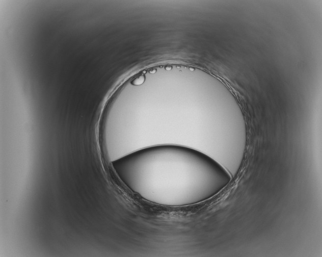 X0000115780244200911131012