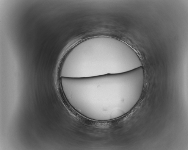 X0000115780245200911131012