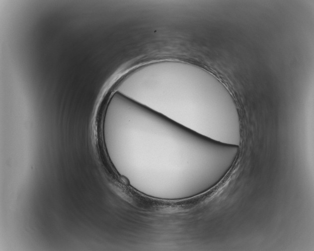 X0000115780246200911131012