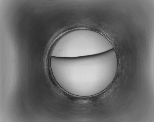 X0000115780247200911131012