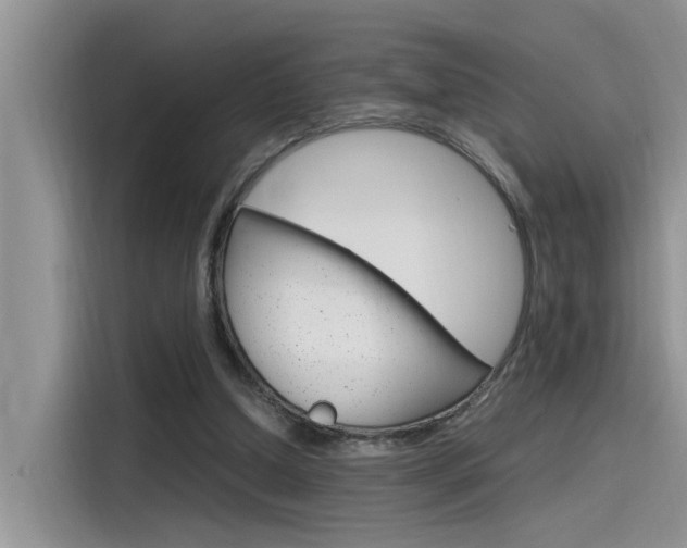 X0000115780250200911131012