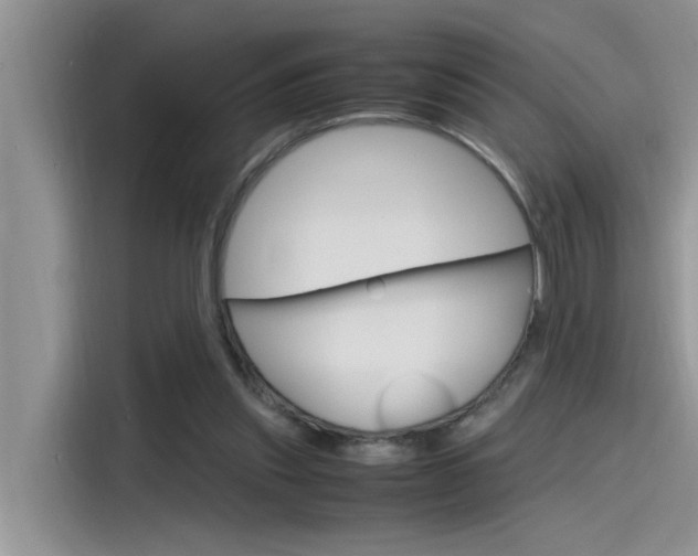 X0000115780253200911131012