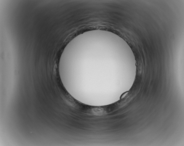 X0000115780279200911131012