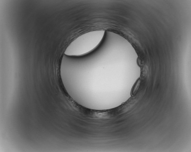 X0000115780283200911131012