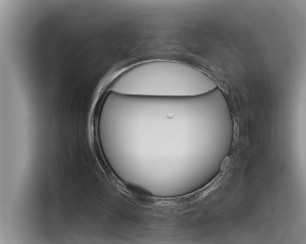 X0000115780294200911131012
