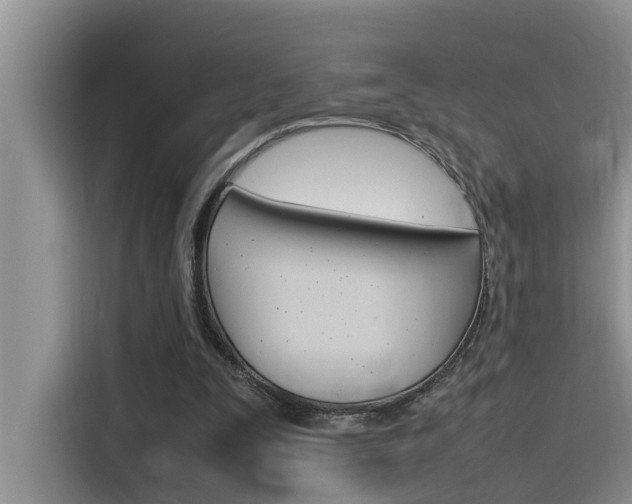 X0000115780295200911131012