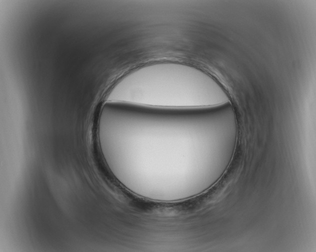 X0000115780299200911131012
