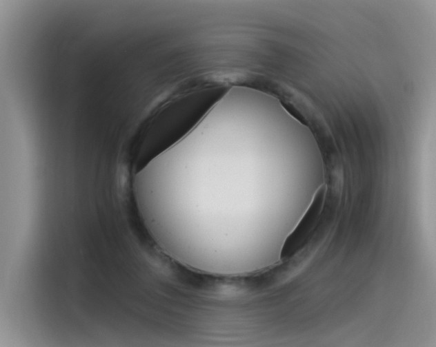 X0000115780308200911131011