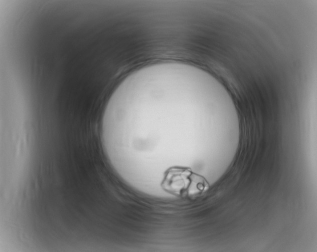 X0000115780312200911131011