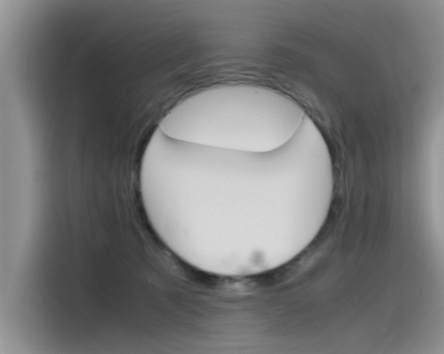 X0000115780321200911131011