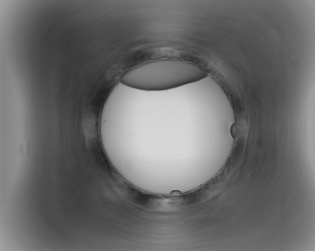 X0000115780323200911131011