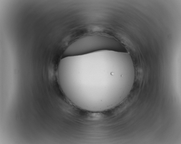 X0000115780324200911131011