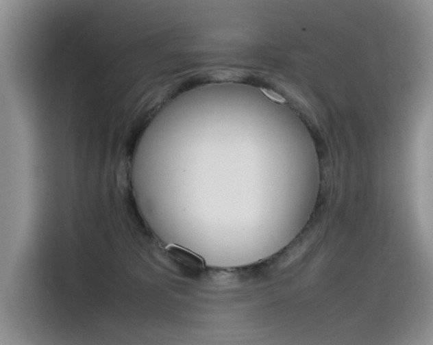 X0000115780325200911131011