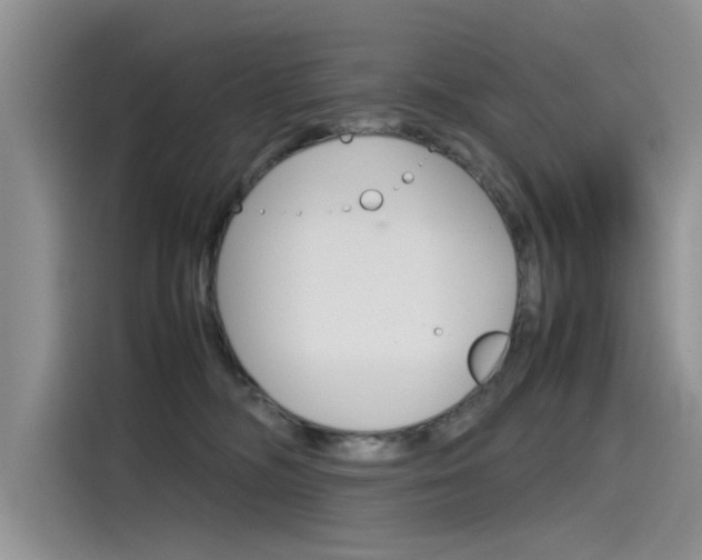 X0000115780326200911131011