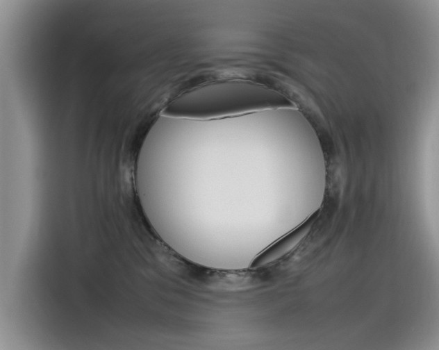 X0000115780329200911131011
