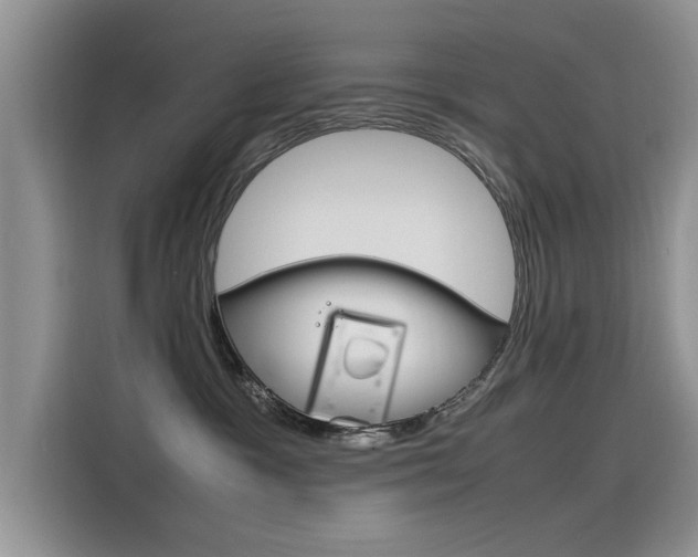 X0000115780333200911131011