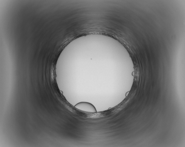 X0000115780334200911131011