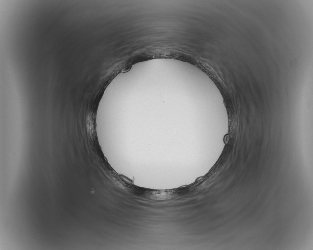 X0000115780335200911131011