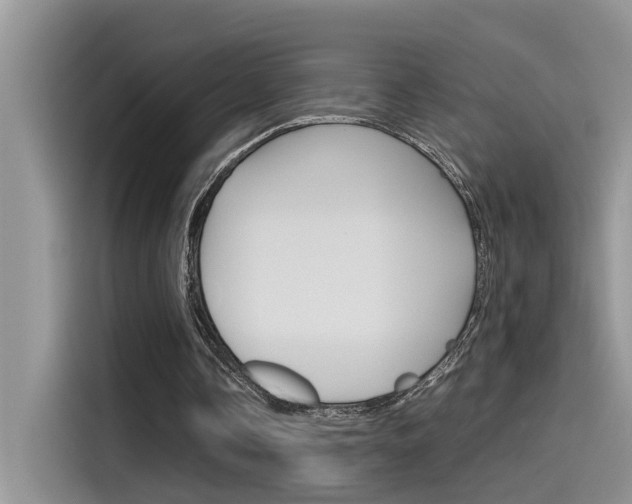 X0000115780338200911131010