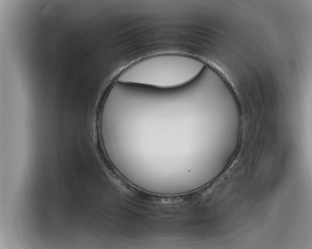 X0000115780345200911131011