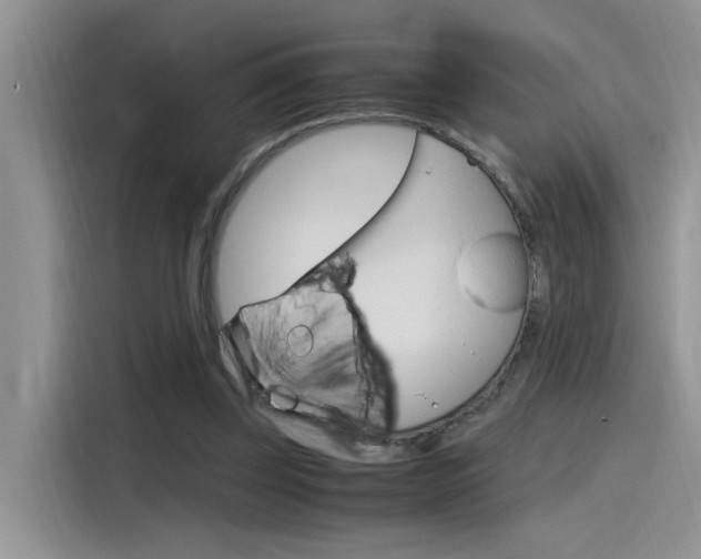 X0000115780347200911131011