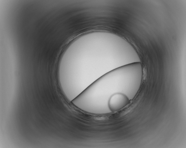 X0000115780349200911131011