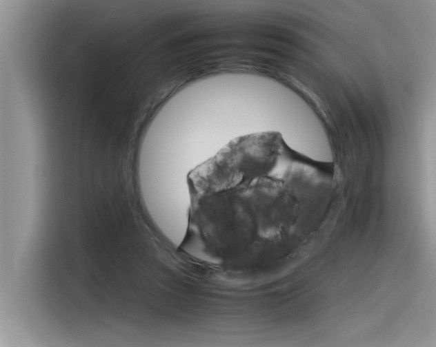 X0000115780353200911131011