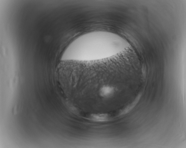 X0000115780359200911131011