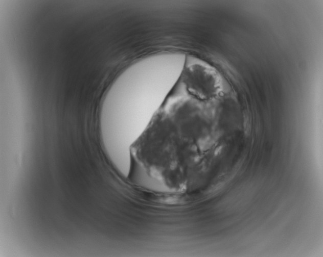 X0000115780365200911131011