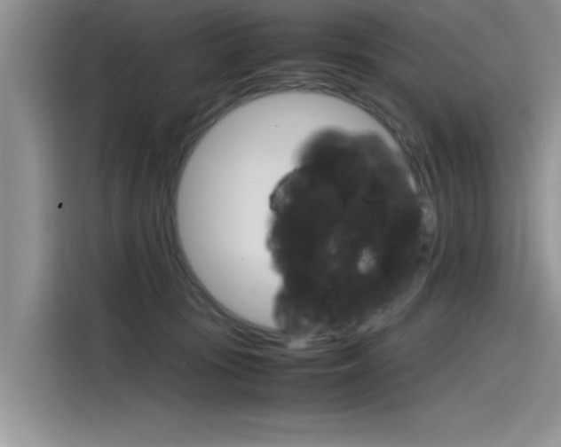 X0000115780371200911131011