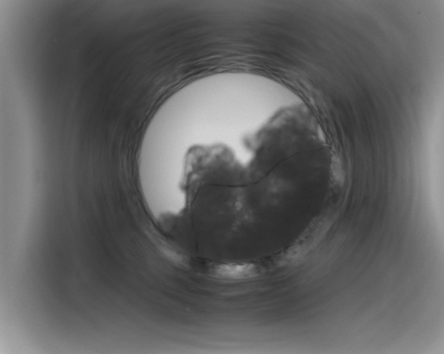 X0000115780375200911131011