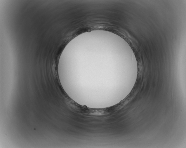 X0000115780377200911131011