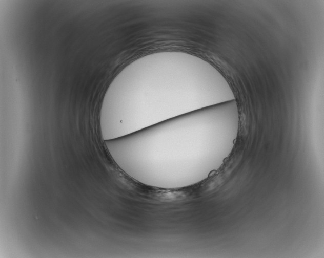 X0000115780379200911131011