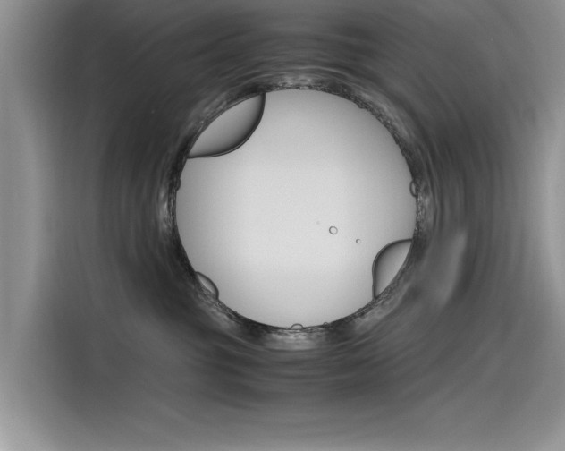 X0000115780381200911131011