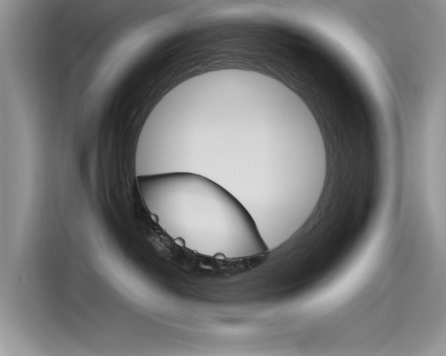 X0000115780382200911131011