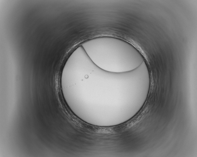 X0000115780386200911131010