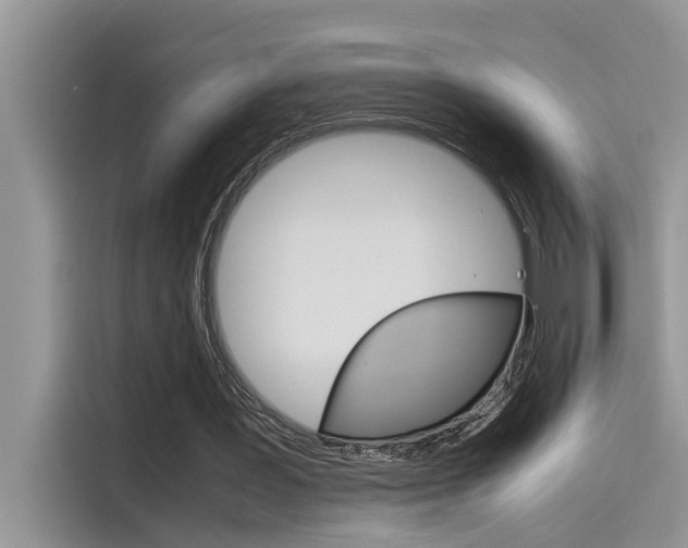 X0000115780387200911131010