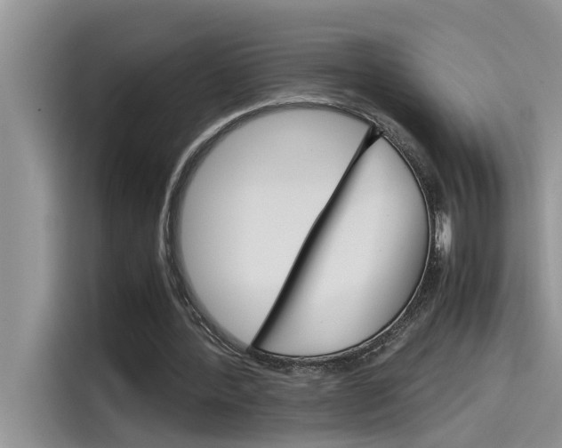X0000115780388200911131010