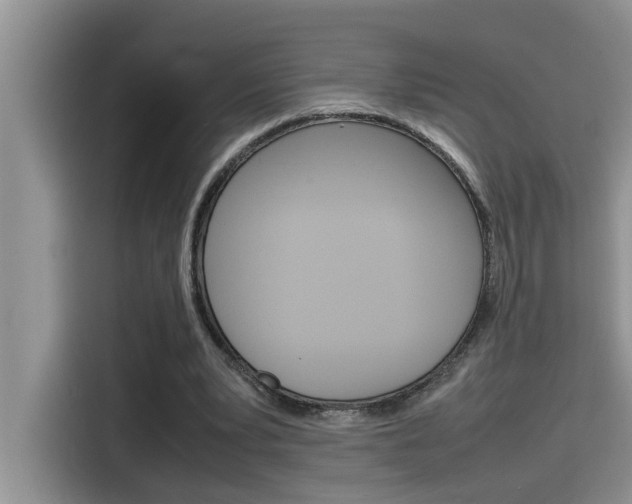 X0000115780391200911131010