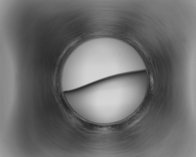 X0000115780396200911131010