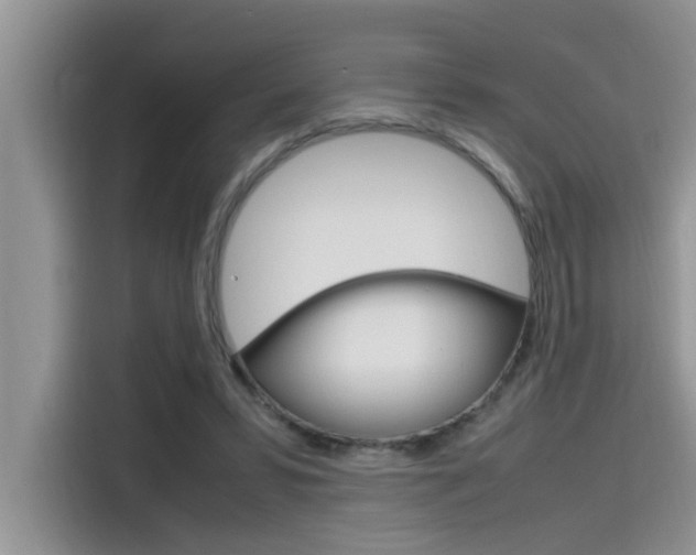 X0000115780399200911131010