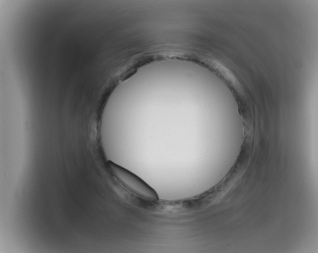 X0000115780401200911131010