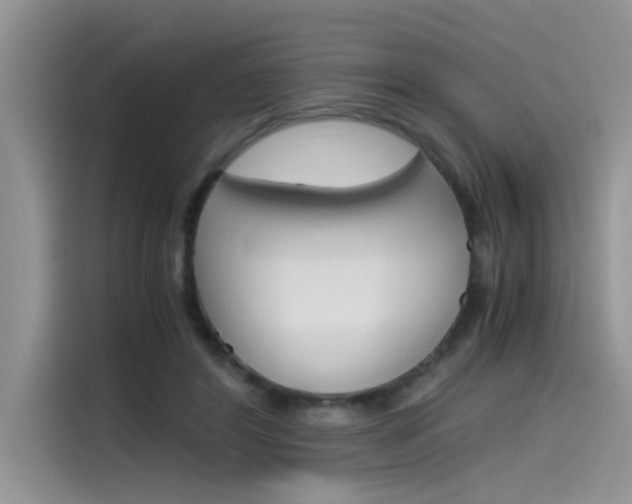 X0000115780404200911131010