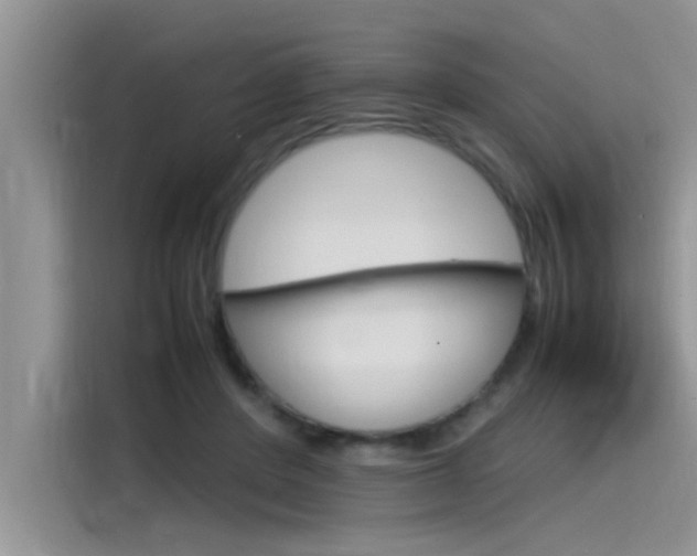 X0000115780408200911131010