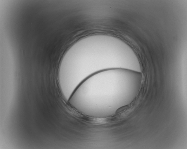 X0000115780409200911131010