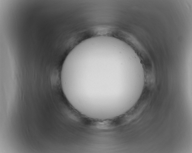 X0000115780411200911131010